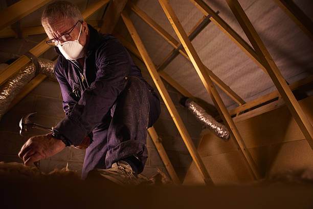 Best Fiberglass Insulation in Buckhead, GA
